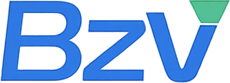 BzView